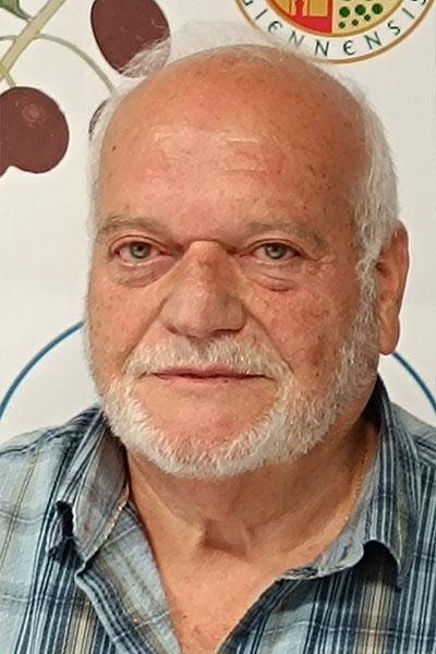 Cristóbal Gallego Copado.